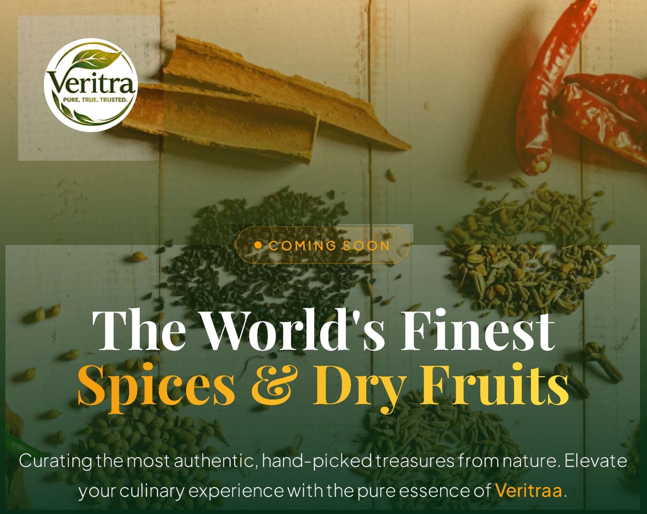 Veritraa hero banner